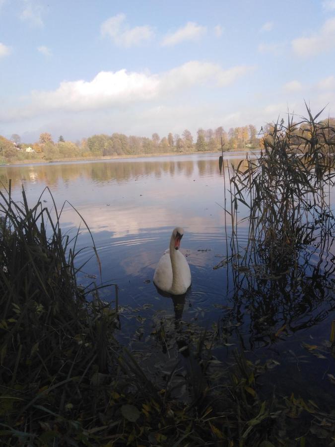 Alte Schule Am See Biskupiec (Olsztyn) Exterior foto